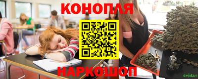 прущие крисы Пугачёв
