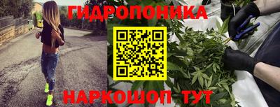 прущие крисы Пугачёв