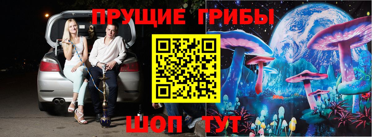 Псилоцибиновые грибы MAGIC MUSHROOMS Похвистнево