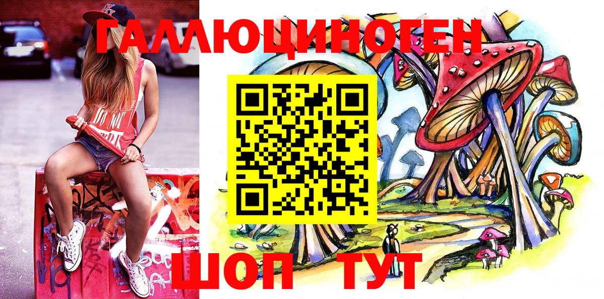 Похвистнево  Псилоцибиновые грибы Psilocybe  Вход с VPN 